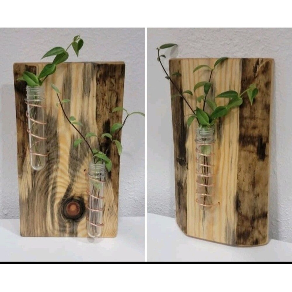 Handmade Blue Beetle Pine Live Edge Wood Slab Propagation Station Plants Rustic